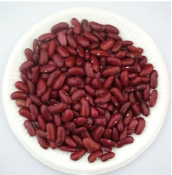 Buy Sugar Beans