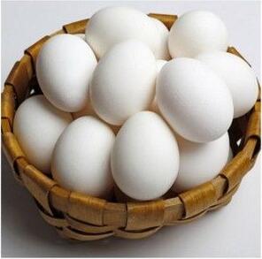 Buy Vulture eggs