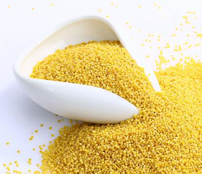 food2china进口食品