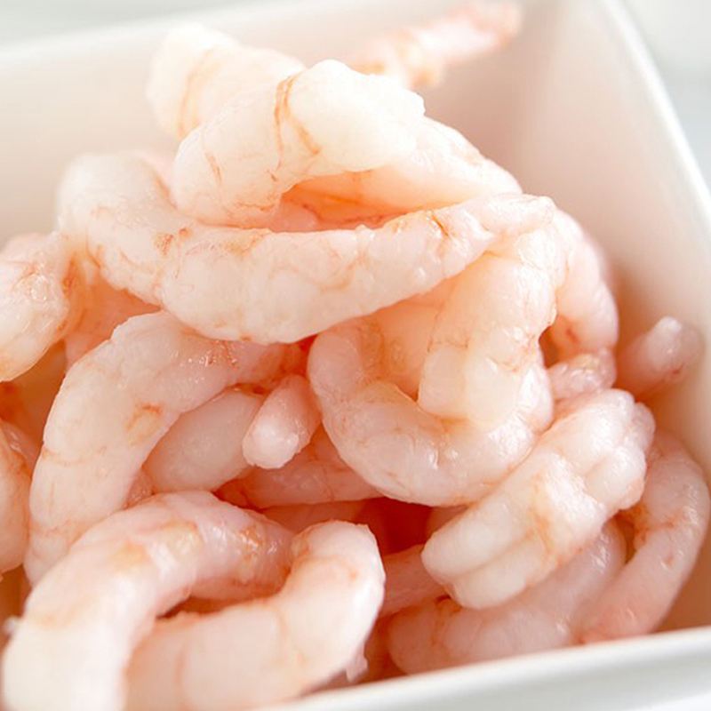 Looking for Shrimp