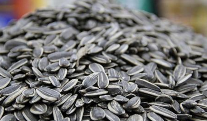 Sun Flower Seeds