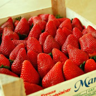 Organic strawberry supplier
