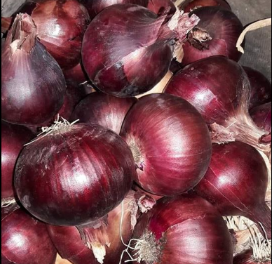 Supply red onion from Egypt