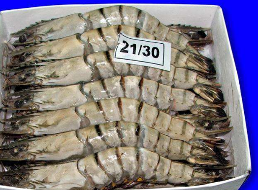 food2china进口食品