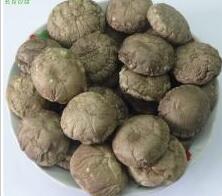 food2china进口食品