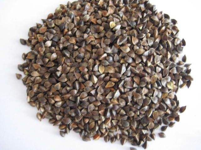 Buy Buckwheat Grain