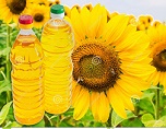 Refined Sunflower Oil