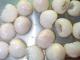 food2china进口食品