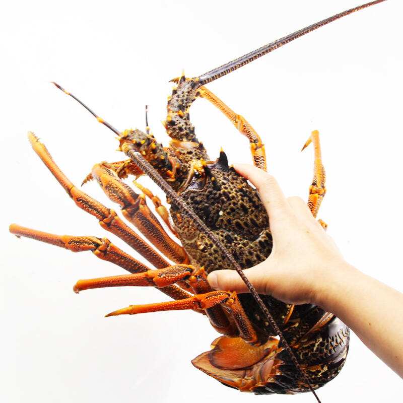 food2china进口食品